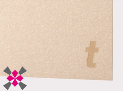 grav�rovac� pap�r, metalick� nude, 300g